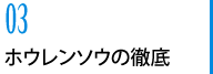 03　ホウレンソウの徹底